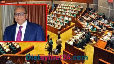 জাতীয় জীবনের গুরুত্বপূর্ণ সন্ধিক্ষণ অতিক্রম করছি: রাষ্ট্রপতি