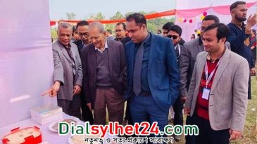 মেট্রোপলিটন ইউনিভার্সিটিতে পিঠা উৎসব সম্পন্ন