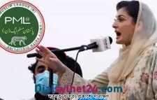 পিএমএলএনের সিনিয়র ভাইস প্রেসিডেন্ট হলেন মরিয়ম