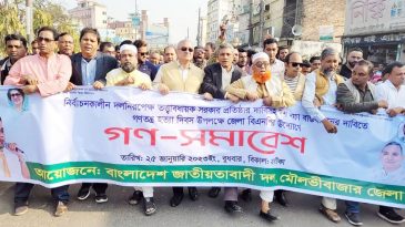 আ.লীগ দেশটাকে লুটে শেষ করে দিয়েছে : নাসের রহমান