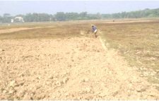 মৌলভীবাজারের বোরো আবাদ বিঘ্নিত হওয়ার আশঙ্কা কৃষকেরা