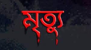 মাইক্রো চাপায় ছেলে নিহত, তিনদিন পর আহত মায়ের মৃত্যু