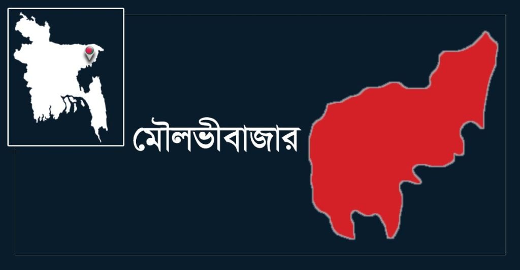 শ্রীমঙ্গলে পিকআপ ভ্যানের সঙ্গে সিএনজি র  সাথে সংঘর্ষে দুইজন নিহত
