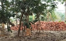 প্রবাসীর ভূমি দখলের চেষ্টা, স্থিতাবস্থা জারির নির্দেশ