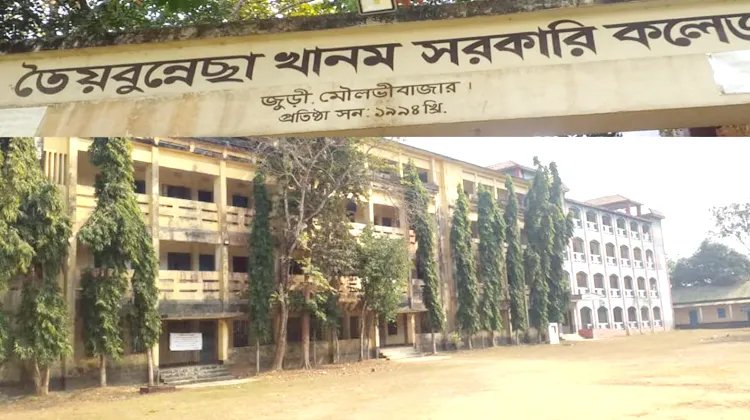 এইচএসসিতে তৈয়বুন্নেছা খানম সরকারি কলেজ থেকে জিপিএ-৫ পেয়েছেন ২২ জন