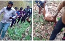  হরিণ হত্যার ৫ দিন পর ব্যবস্থা নিতে বন আদালতের নির্দেশ