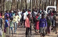 মৌলভীবাজারে বন আইন অমান্য করে সহস্রাধিক গাছ কর্তন ইন্দেশ্বর চা বাগান কর্তৃপক্ষ