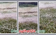 সুনামগঞ্জে মৌসুমের প্রথম শিলাবৃষ্টি