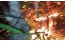 এবার লাউয়াছড়া বনে আগুন