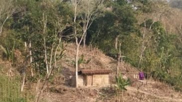 অবৈধভাবে চা বাগানের ভূমি দখলের চেষ্টা, শ্রমিকদের হুমকি-ধমকির অভিযোগ