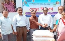 প্রধানমন্ত্রীর উপহার ‘ভেড়া’ পেলেন ১০৯ ক্ষুদ্র নৃ-গোষ্ঠী পরিবার