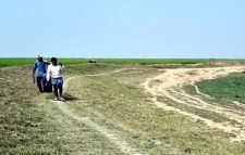 হাকালুকি হাওরে পানির জন্য হাহাকার, বোরো চাষ ব্যাহত
