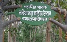 ভালো নেই লাউয়াছড়া জাতীয় উদ্যানে খাবার পানি ও আবাসস্থল সংকটে হুমকির মুখে ৫ শতাধিক জাতের বন্যপ্রাণী