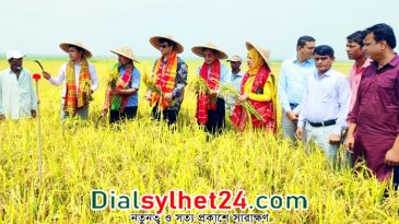 দ্রুত হাওরের ধান কাটার আহ্বান সিলেটের জেলা প্রশাসকের
