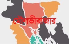 গরুতে ধান খাওয়া নিয়ে কান ‘কাটা পড়ল’ বৃদ্ধের