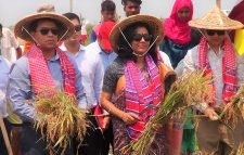 ধান কর্তনের উদ্বোধন করেন  জেলা প্রশাসক উর্মি বিনতে সালাম