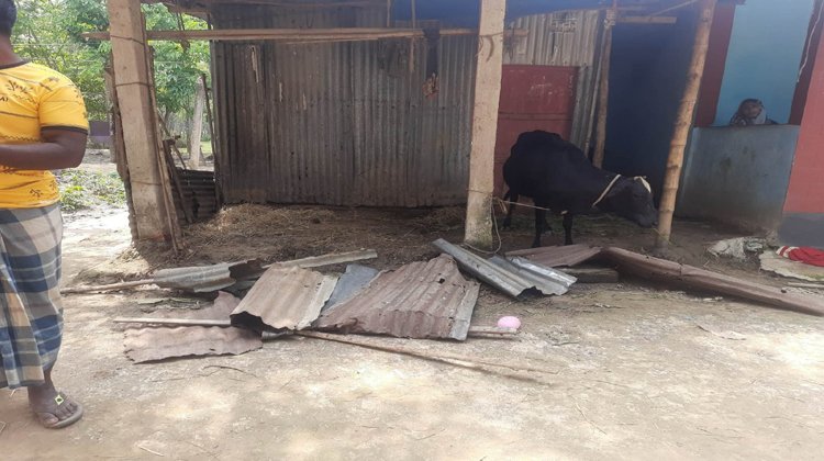 রাজনগরে হাঁসে ধান নষ্ট করা নিয়ে মারামারি, নারীর মৃত্যু!