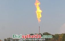 ২৯তম গ্যাসক্ষেত্র হচ্ছে ভোলার ইলিশা