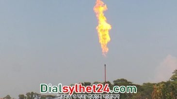 ২৯তম গ্যাসক্ষেত্র হচ্ছে ভোলার ইলিশা