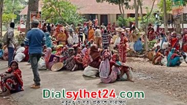 পাত্রখোলা চা বাগানে শ্রমিকদের ধর্মঘট