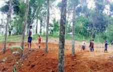 গাজিপুর চা বাগানে শ্রমিকের ঘর নির্মাণের নামে টিলা কাটার অভিযোগ