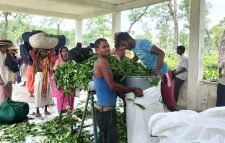 চা শ্রমিক দিবসে মজুরী বৃদ্ধি সহ বিভিন্ন দাবি চা শ্রমিকদের