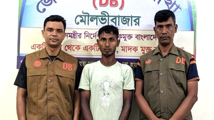 ডিবির অভিযানে ১৩০ পিস ইয়াবাসহ ০১ জন আটক