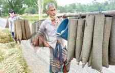 দিনমজুরি নেই, কুঁচিয়া শিকারই ভরসা