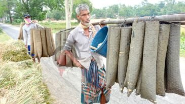 দিনমজুরি নেই, কুঁচিয়া শিকারই ভরসা