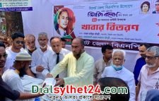 দুর্বার আন্দোলনের মাধ্যমে ফ্যাসিস্ট সরকারের পতন হবে: কাইয়ুম চৌধুরী