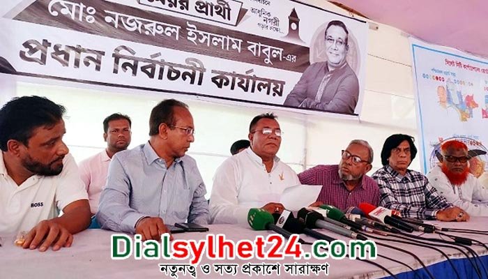 ভুয়া ভিডিও ফেসবুকে ছড়িয়েছে আওয়ামী লীগ : বাবুল