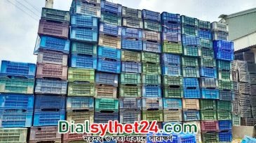 শুধু আম পরিবহনেই প্লাস্টিকের ক্যারেট বিক্রি হয় ৯২২ কোটি টাকার