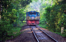 লাউয়াছড়া উদ্যানের সড়ক ও রেলপথের সরানোর উদ্যোগে ভাটা