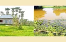 বড়লেখায় সরকারি খাল ভরাট করে ঘর নির্মাণ : জলাবদ্ধতায় কয়েকশ’ একর কৃষি জমি