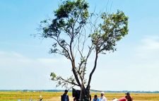 হাকালুকির বুকে একখণ্ড স্বস্তি!