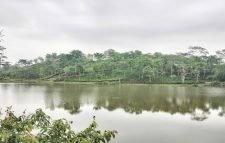 শ্রীমঙ্গলে অনিন্দ্য সুন্দর ভুরভুরিয়া চা বাগান লেক