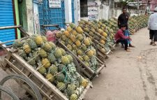 মৌ মৌ ঘ্রাণে মুখর শ্রীমঙ্গলের ফলের বাজার