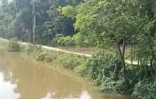 বড়লেখায় বরাদ্দ উত্তোলন করেও রাস্তার কাজ করেননি ইউপি সদস্য, ভোগান্তিতে এলাকাবাসী