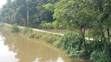 বড়লেখায় বরাদ্দ উত্তোলন করেও রাস্তার কাজ করেননি ইউপি সদস্য, ভোগান্তিতে এলাকাবাসী