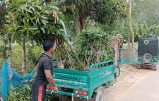 সঠিক সময়ে বৃষ্টি না হওয়ায় নার্সারিতে চারা বিক্রি কম হয়েছে