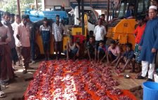 মৌলভীবাজার পৌরসভার সাবেক চেয়ারম্যানদের নামে কুরবানি দেয়া হয়েছে