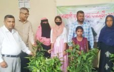 কুলাউড়ায় গ্রামীণ ব্যাংকের গাছের চারা বিতরণ