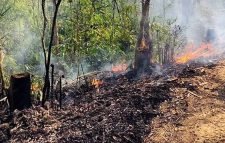 বিশ্ব পরিবেশ দিবস আজ : মৌলভীবাজারে ৪৬ হেক্টর বনে বৃক্ষ নিধন