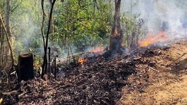 বিশ্ব পরিবেশ দিবস আজ : মৌলভীবাজারে ৪৬ হেক্টর বনে বৃক্ষ নিধন