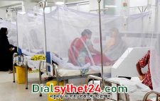 ডেঙ্গুতে ১১ জনের মৃত্যু, হাসপাতালে ভর্তি ২২৪২