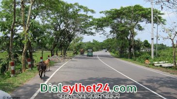 দুর্ঘটনার কবলে সিলেটের নতুন মেয়র ও কাউন্সিলরদের গাড়িবহর