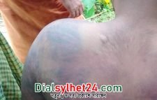 দুই বাংলাদেশীকে পিটিয়ে সীমান্তে ফেলে গেল বিএসএফ