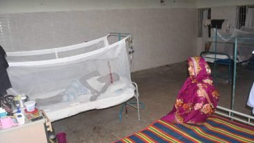 মৌলভীবাজার জেলায় ডেঙ্গু আক্রান্ত ৫ জন