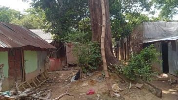 শমশেরনগর রেলওয়ে স্টেশনে কেটে ফেলা হচ্ছে প্রাচীনতম গাছ! সরকার হারাচ্ছে রাজস্ব