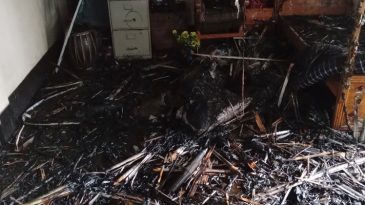 গ্যাস লাইনের লিকেজ থেকে আগুন, পুড়লো ২ ভাইয়ের বসতঘর